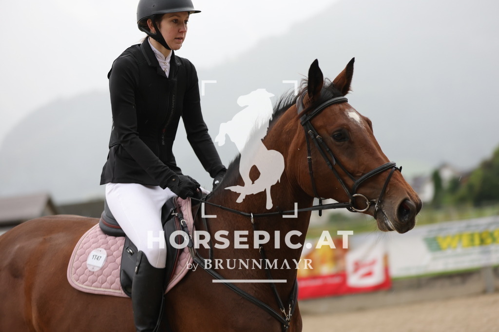 0P6A0325 | Willkommen bei Brunnmayr - Design & Fotografie – Ihrem Spezialisten für Reitturniere und Pferdeveranstaltungen in Oberösterreich, Salzburg und Bayern! Seit über 17 Jahren sind wir leidenschaftlich dabei.