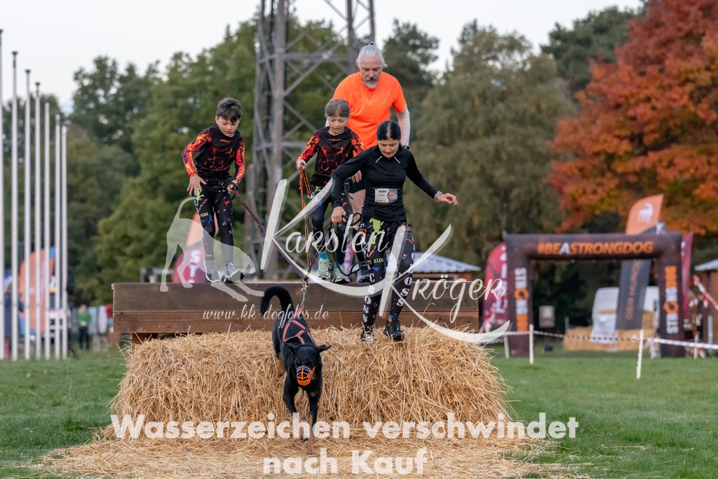 0801_ZZ93878-Bearbeitet | kk-dogfotos