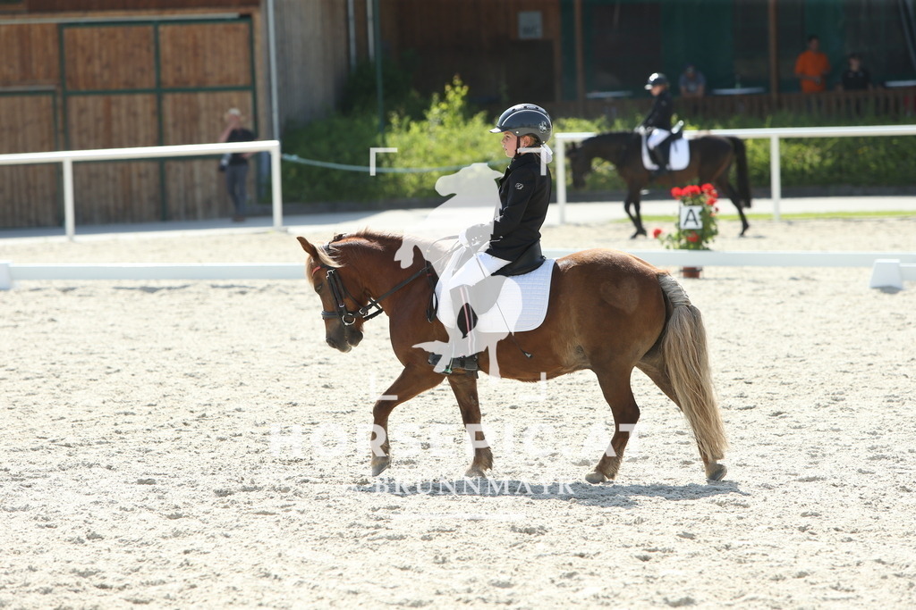 DL2Q0766 | Willkommen bei Brunnmayr - Design & Fotografie – Ihrem Spezialisten für Reitturniere und Pferdeveranstaltungen in Oberösterreich, Salzburg und Bayern! Seit über 17 Jahren sind wir leidenschaftlich dabei.