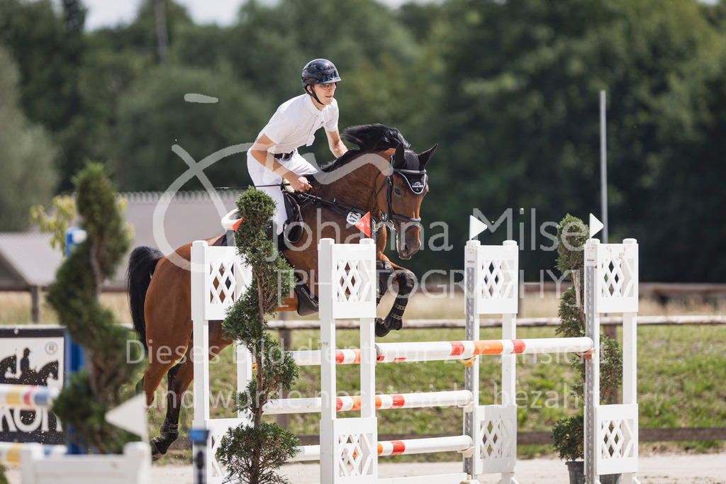 250629_PfSpTa_L-Spr2-423 | Deine schönsten Turniermomente als professionelle Fotos! Entdecke hochwertige Pferdesport-Fotografie im Online-Shop. Jetzt Fotos finden & bestellen!