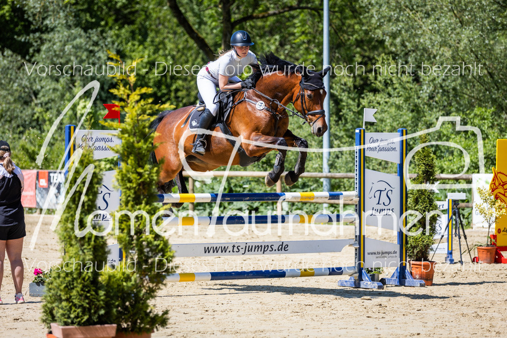 Donop24-L-Spr-046 | MomenTaufnahmen Pferdesportfotos