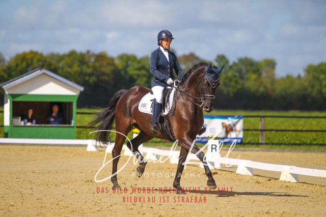 DKP45309 | Turniersportfotografie; Pferdefotografie; Dressurfotografie