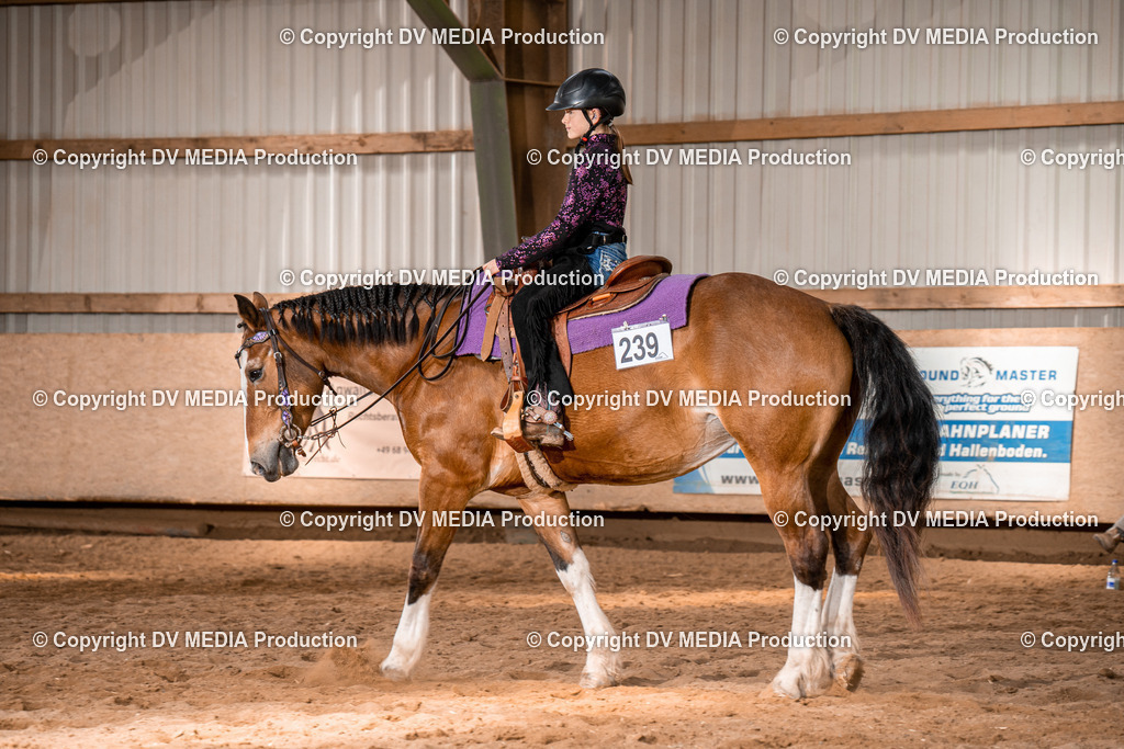 BAL02254 | dv-media-shop - Realisiert mit Pictrs.com