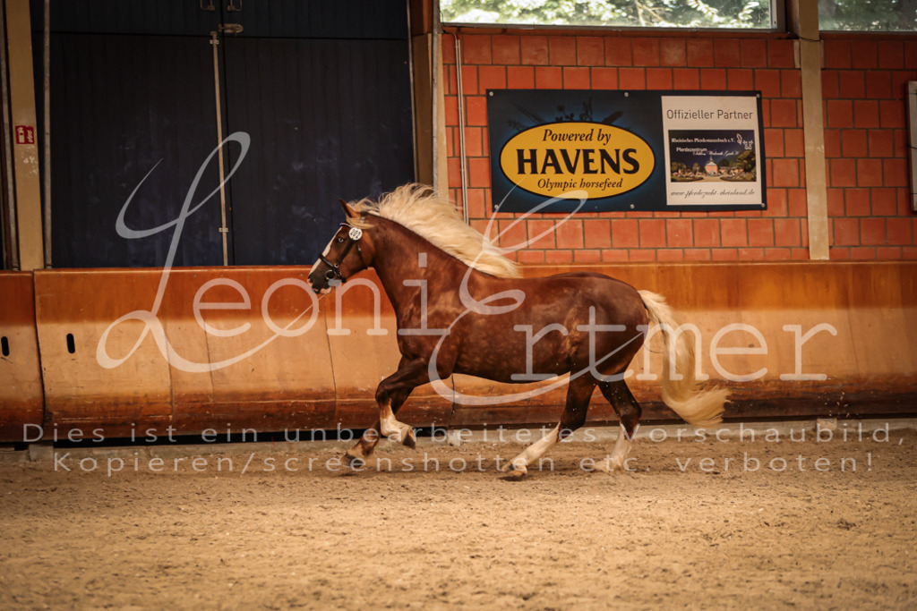 SaFL00464 | Leoni Ertmer Photography - Realisiert mit Pictrs.com