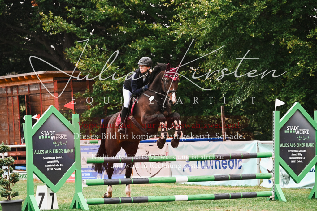 DSC_6536 | Pferde- und Turnierfotografie in Westsachsen. Pferdeportraits, Auftragszeichnungen und intuitive Kunst.