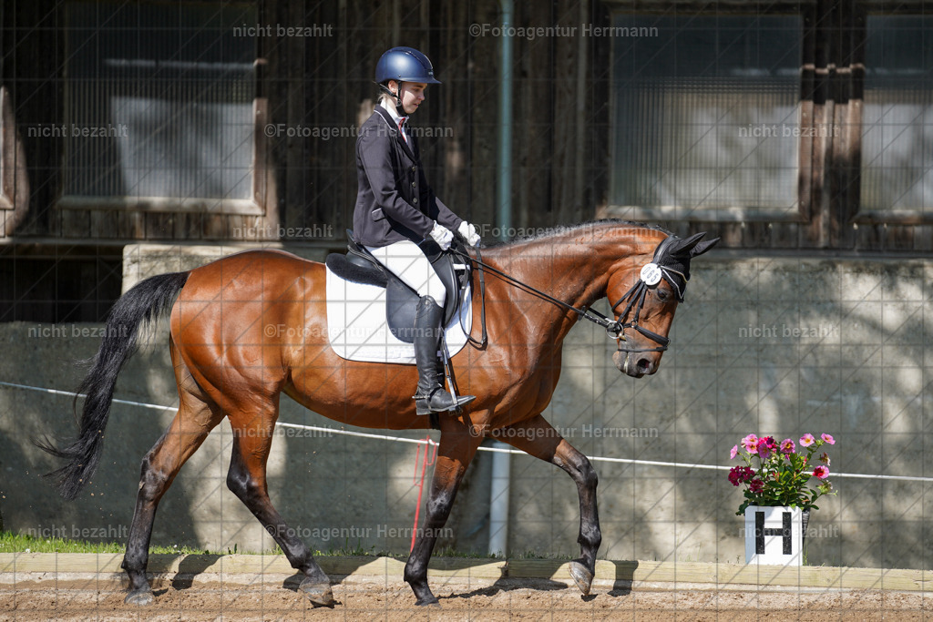 20240519-FAH04722 | Turnierbilder Niederseeon 2024, Vielseitigkeitsdressur, Reitsportbilder aus dem Landkreit Ebersberg, Gut Steinsee, RC Steinsee, Fotoagentur Herrmann