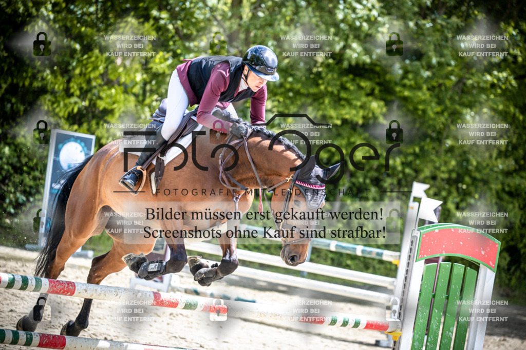 DOS_1686 | Reitturnier Lüdinghausen - Realisiert mit Pictrs.com
