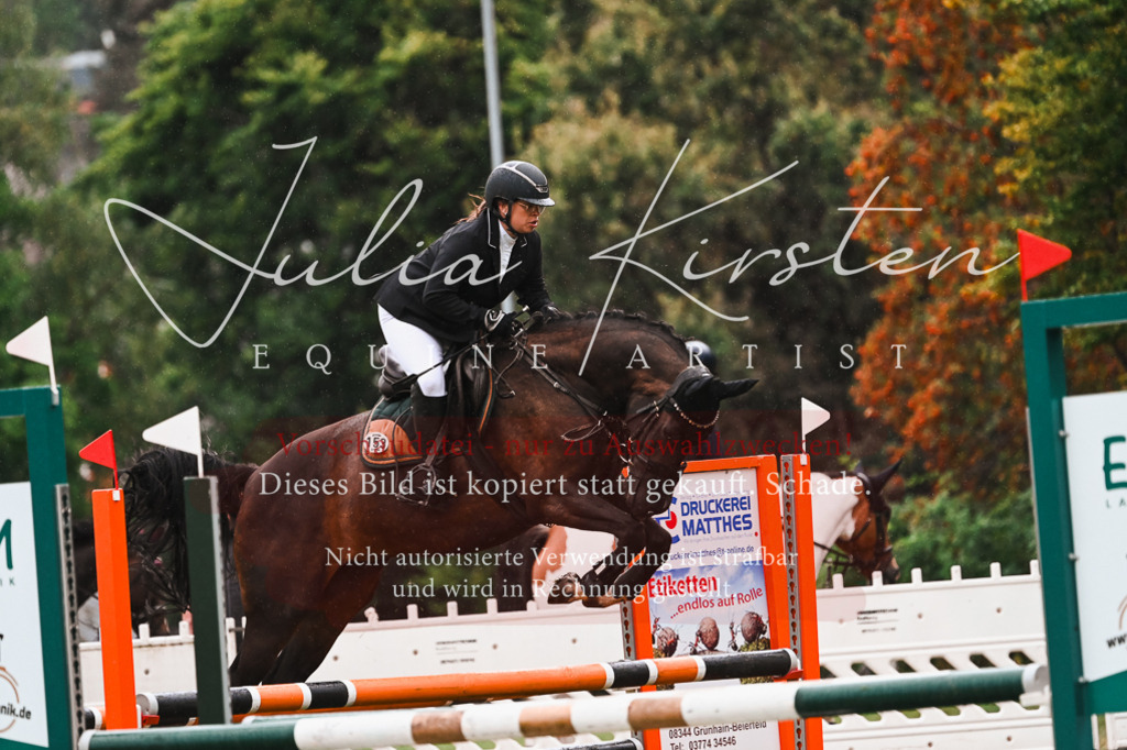 DSC_6457 | Pferde- und Turnierfotografie in Westsachsen. Pferdeportraits, Auftragszeichnungen und intuitive Kunst.