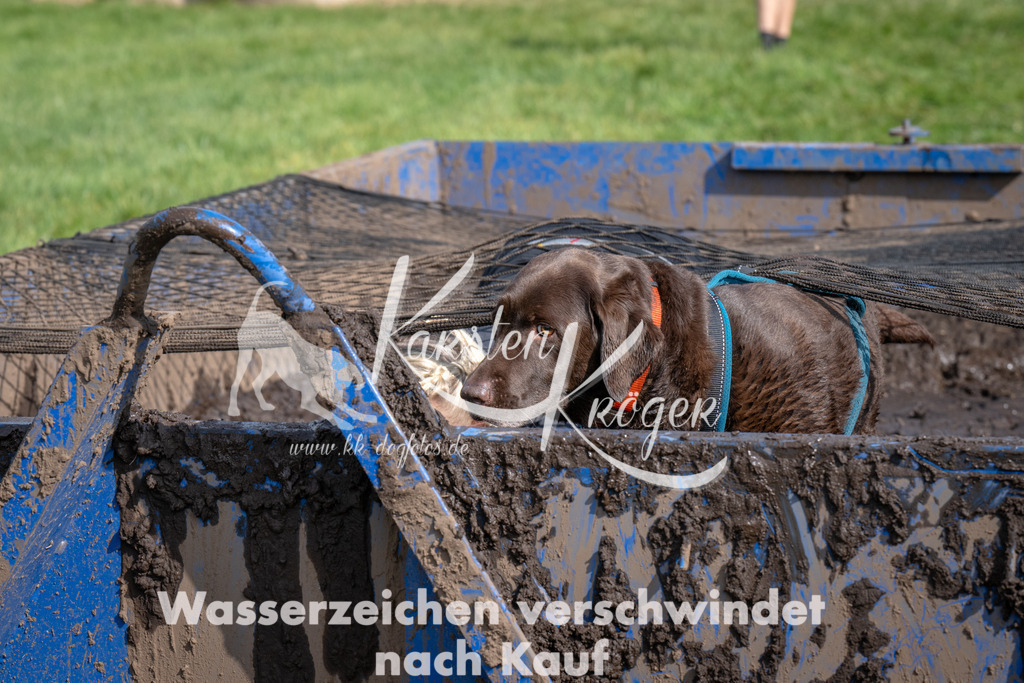 _ZZ91462 | kk-dogfotos