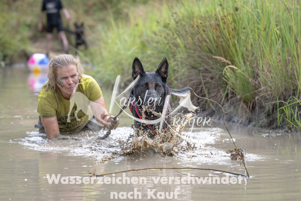 1118_ZZ94177 | kk-dogfotos