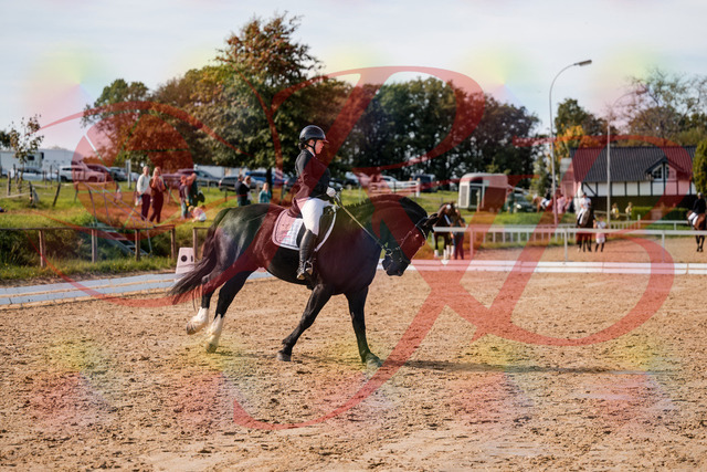 2026_10_03_Siefer-Hof_131702_Z63_78330089 | Professionelle Reitsport-, Turnier- und Eventfotografie von Robert Broda. Galerien mit ausgewählten und bearbeiteten Bildern direkt online ansehen und bestellen.