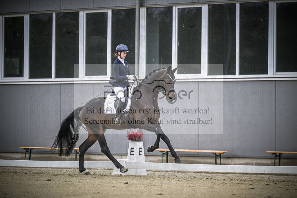 DOS_0488 | Entdecke hochwertige Reitturnierfotos von Foto Oger. Professionell, emotional und authentisch – jetzt Lieblingsmomente im Shop bestellen.Deutschlandweite Turnierfotografie. - Realisiert mit Pictrs.com