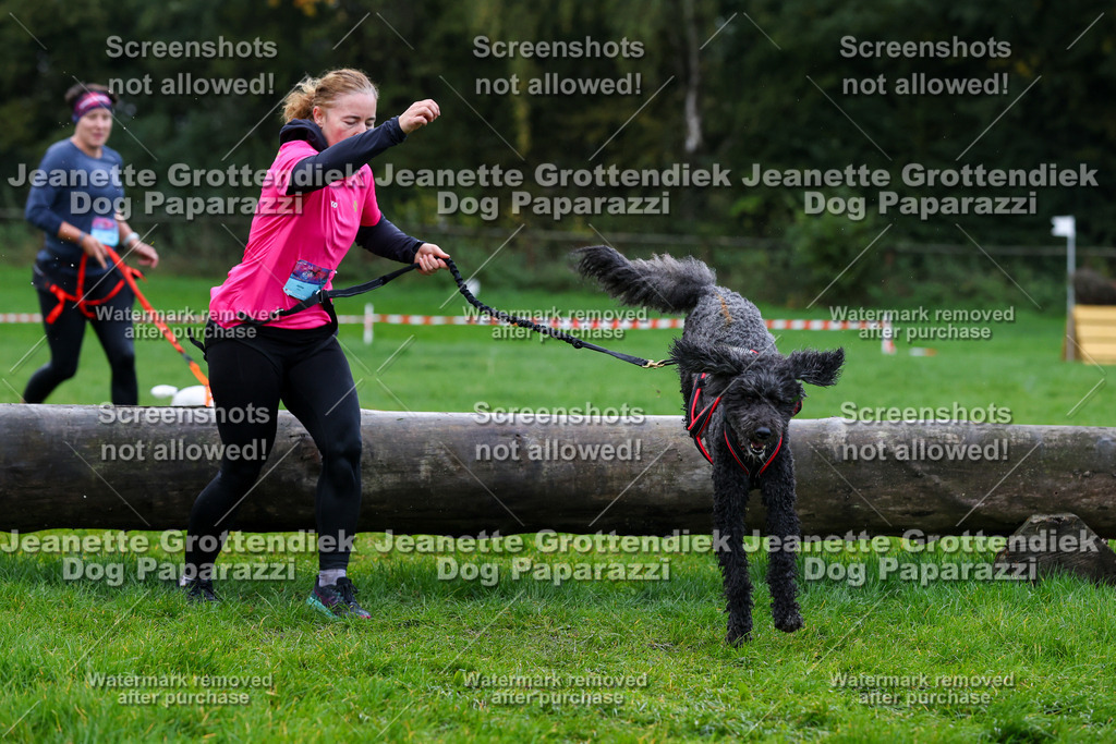 Dog Paparazzi -  SD1026-1337 | Dog Paparazzi Jeanette Grottendiek Fotografie & Videografie - Realisiert mit Pictrs.com