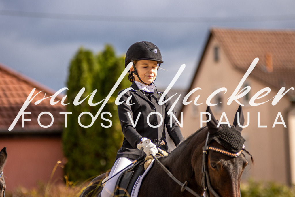 IMG_3765 | Erleben Sie dynamische Sport- und emotionale Tierfotografie in Süddeutschland mit Fotos von Paula. Spezialisiert auf Pferde- und Hundefotografie sowie Sportevents. Kontaktieren Sie mich für einzigartige und ausdrucksstarke Bilder Ihrer besonderen Momente. - Realisiert mit Pictrs.com