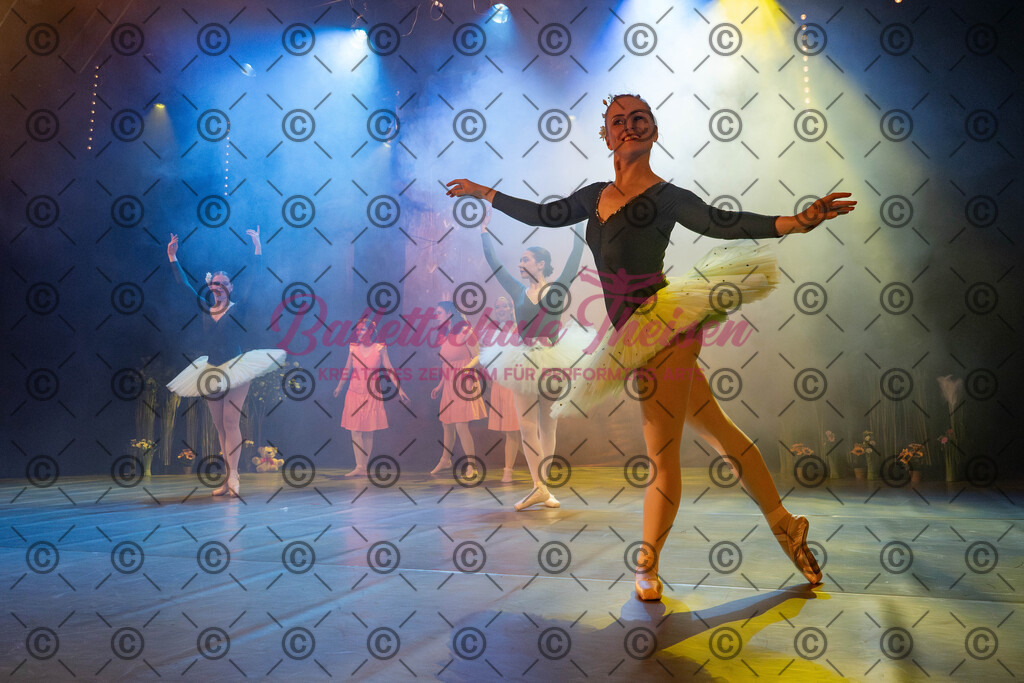 Ballettaufführung-893 | Bildershop Lem'n Entertainment - Realisiert mit Pictrs.com