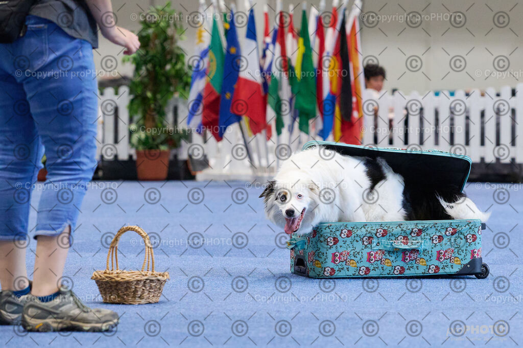 202406_ÖKV-IHA-Tulln24_DSC_4530 | proPHOTO - Realisiert mit Pictrs.com