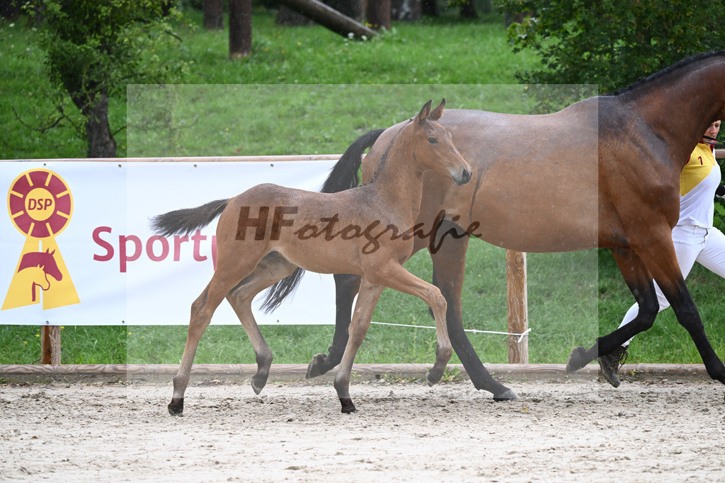 Kat-Nr. 28 HF Franklin_Schneider_25230285 | hf-fotografie - Realizzato con Pictrs.com