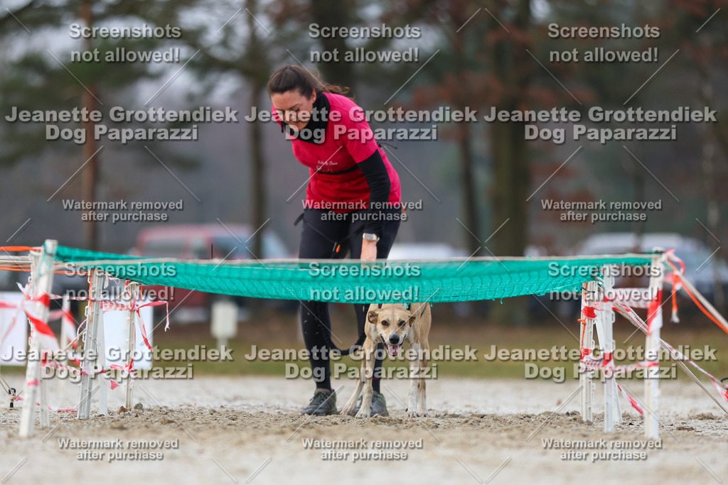 Dog Paparazzi - Strongdog North Mrz26-3632 | Dog Paparazzi Jeanette Grottendiek Fotografie & Videografie - Realisiert mit Pictrs.com