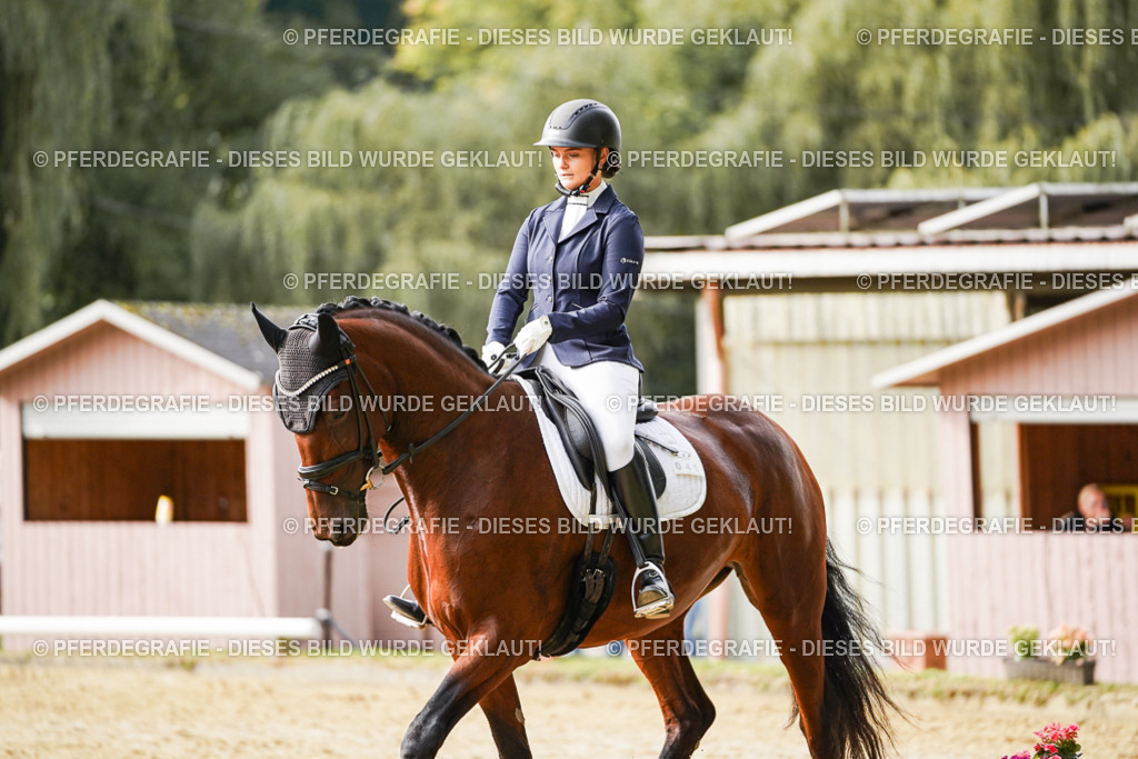 DSC09338 | Pferdegrafie