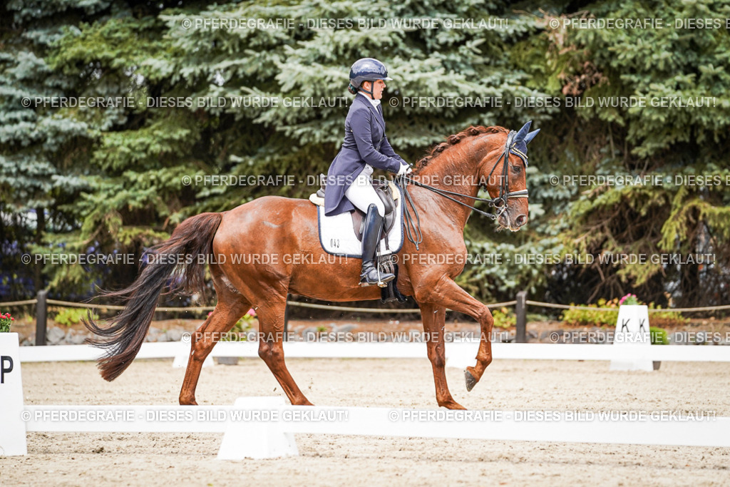 DSC05958 | Pferdegrafie