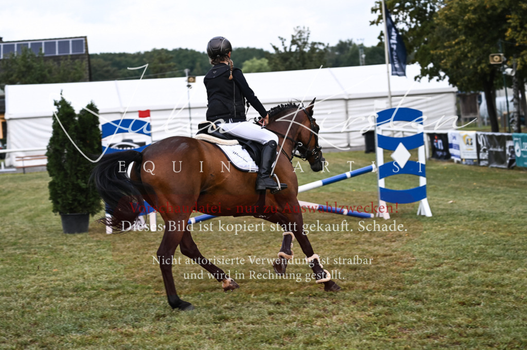 DSC_5439 | Pferde- und Turnierfotografie in Westsachsen. Pferdeportraits, Auftragszeichnungen und intuitive Kunst.