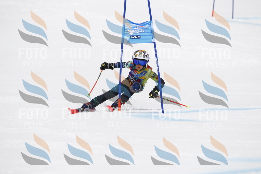 _U3G7589 | holidayphoto