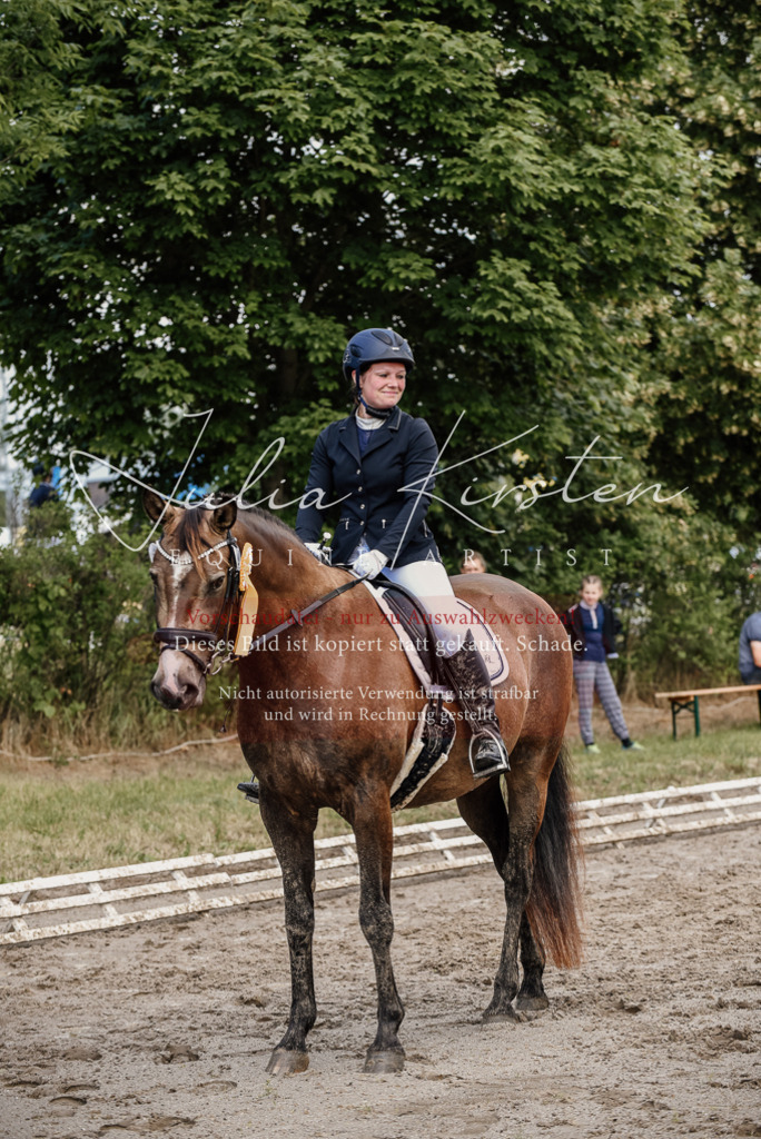 DSC_9347 | Pferde- und Turnierfotografie in Westsachsen. Pferdeportraits, Auftragszeichnungen und intuitive Kunst.