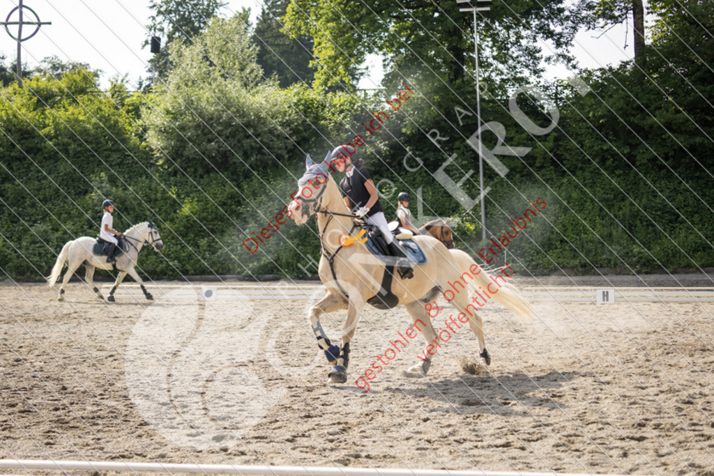 IMG_6115 | Sport-, Event- und Tierfotos in Profiqualität. Einfach auswählen, bestellen und herunterladen. Dein Moment – perfekt festgehalten.