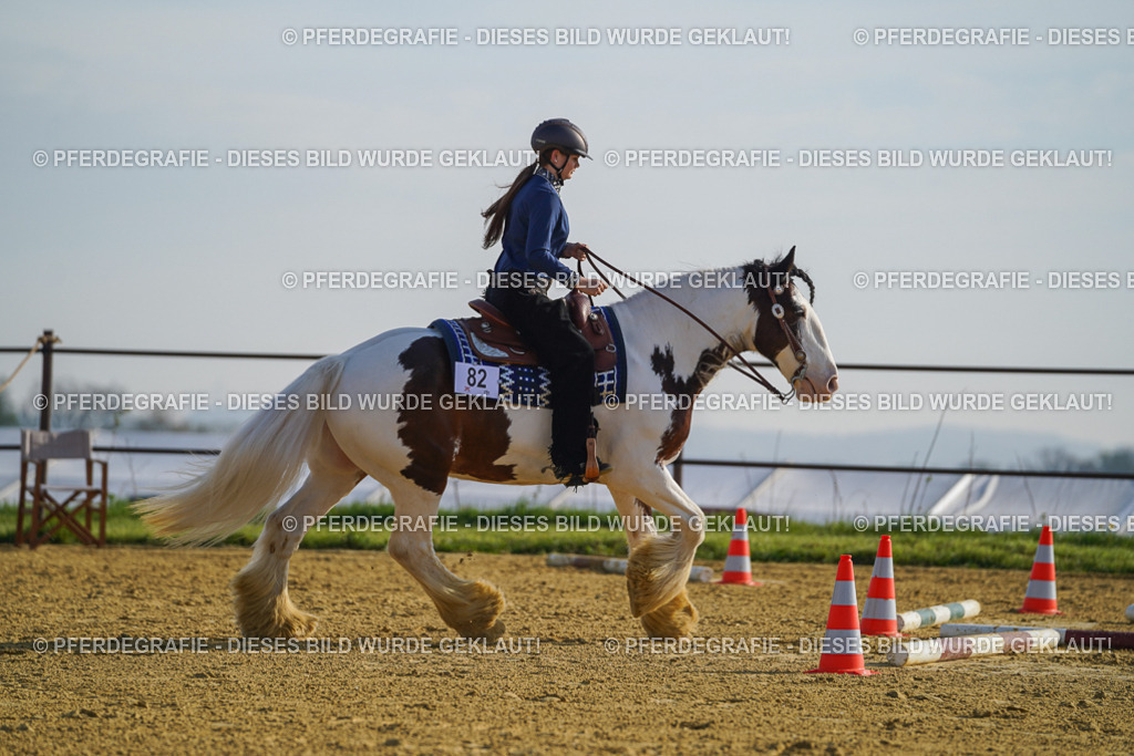 DSC00898 | Pferdegrafie