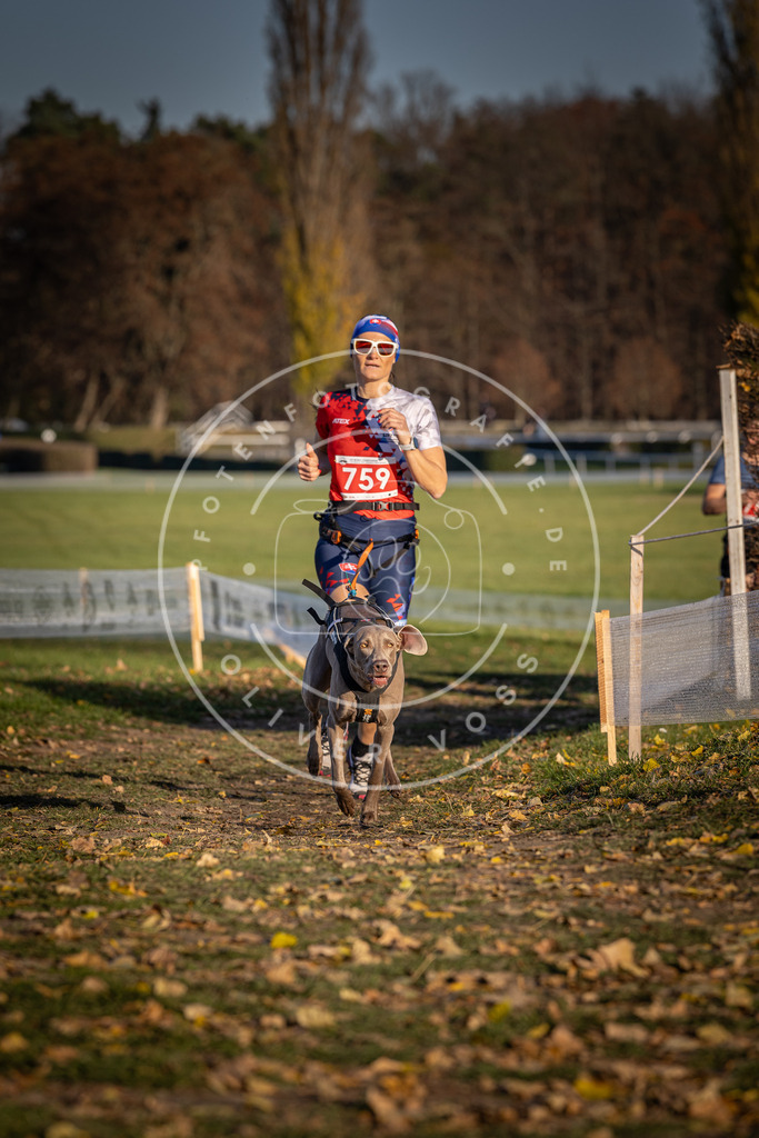 CaniXpix_DV3A2604 | Hundefotografie, Tierfotograf, Pfotenfotografie, Fotoshooting Hund, Hunde Portrait, Hundesport, Hundeportraits, Heideshooting, Hunde, Sportfotograf, Hundefotograf, Turnierhundsport, THS,  - Realisiert mit Pictrs.com