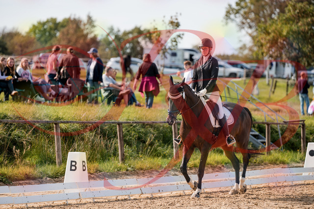 2026_10_03_Siefer-Hof_132134_Z63_83260582 | Professionelle Reitsport-, Turnier- und Eventfotografie von Robert Broda. Galerien mit ausgewählten und bearbeiteten Bildern direkt online ansehen und bestellen.
