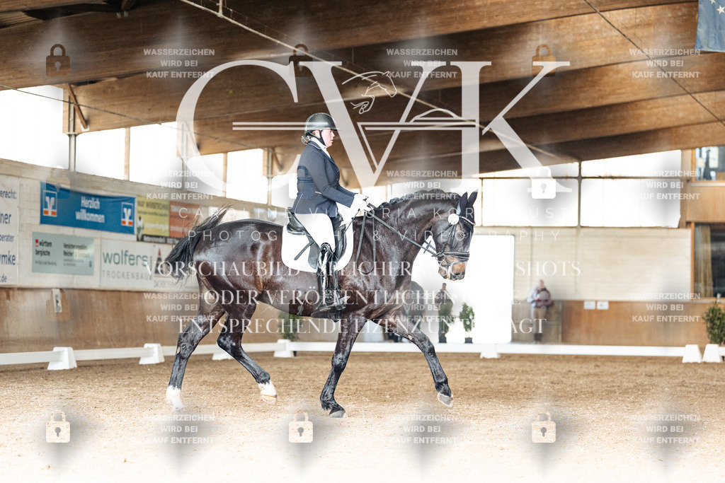 CK902256 | Turnierfotografie Pferdefotografie Trier Rheinland-Pfalz Pferdesport Reitsport Tierfotografie Sportfotografie Pferdevideo Pferdevideografie Equestrianvideography equestrianphotography  - Realisiert mit Pictrs.com