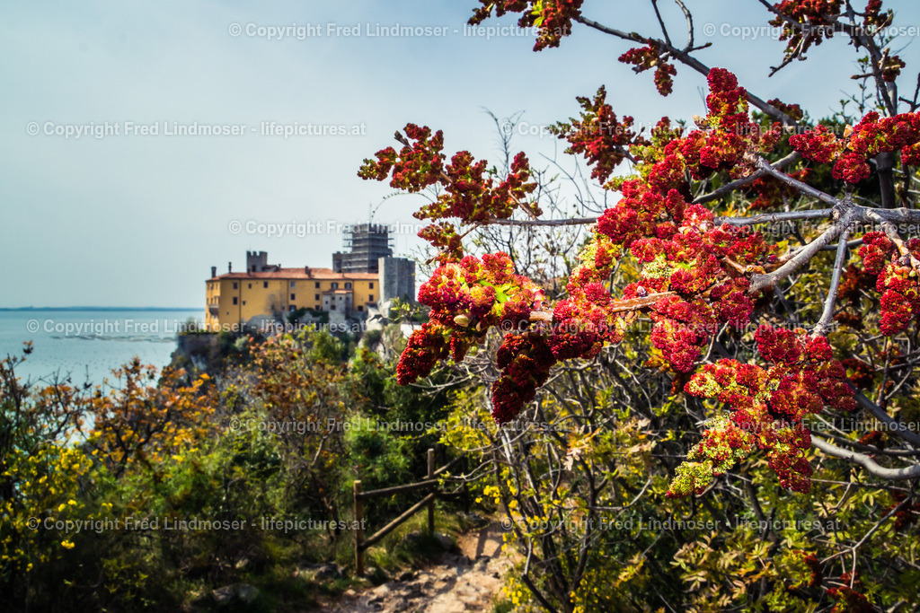 Triest_Bled 2019-5997 | Fotos und Fotoprodukte - Realisiert mit Pictrs.com