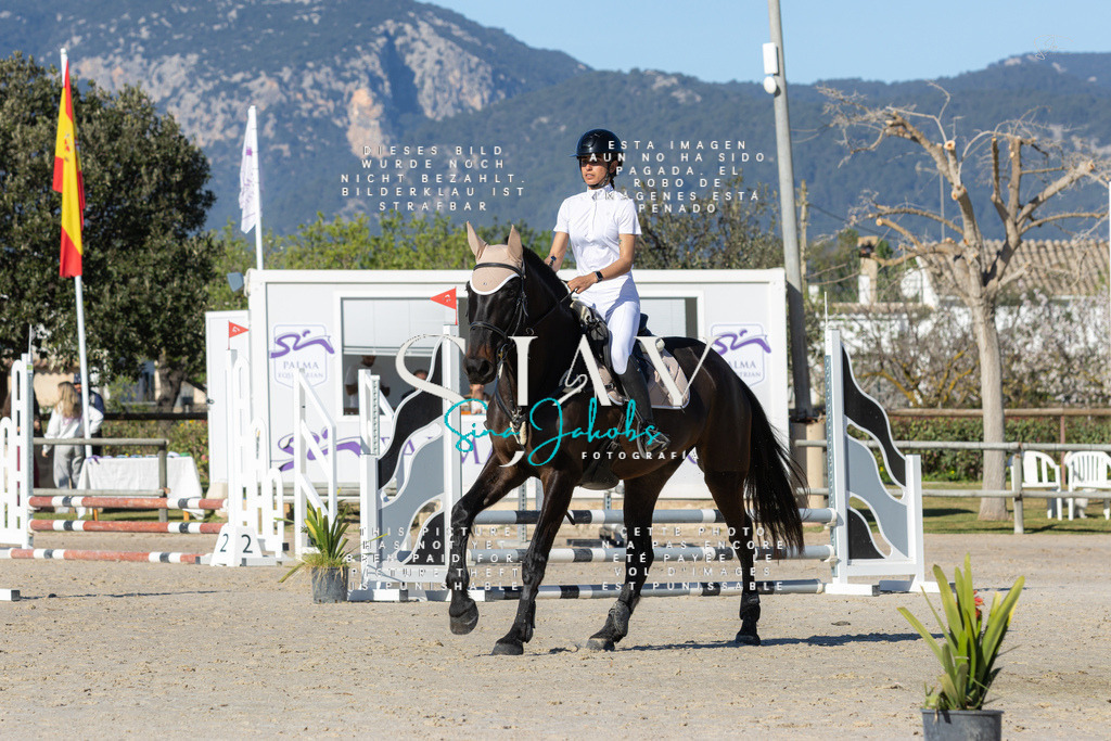 IMG_8075 | s-jay-photography - Realisiert mit Pictrs.com