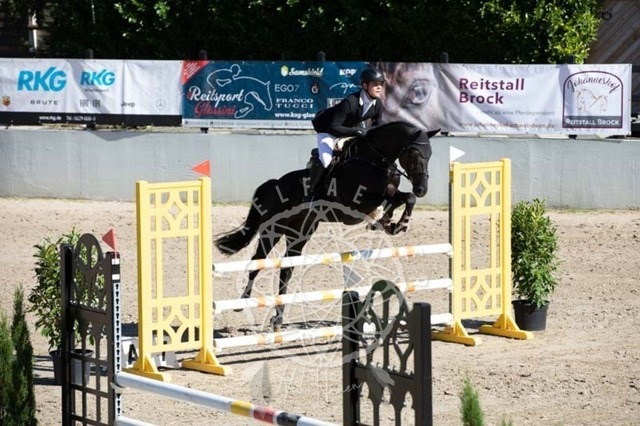 2B4A0290 | pixelfaenger - Realisiert mit Pictrs.com