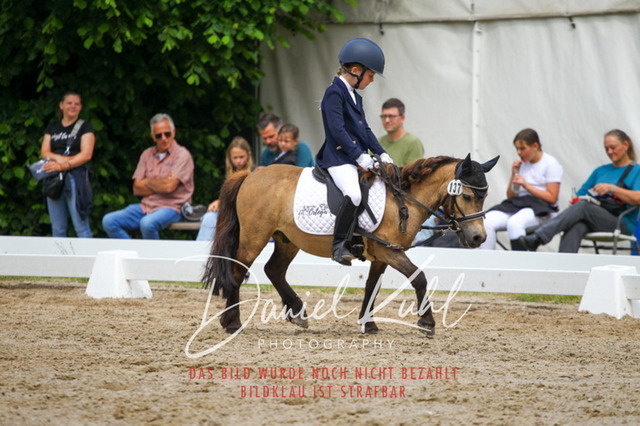 DKP47511 | Turnierfotos kaufen im Webshop von Daniel Kuhl Photography – entdecke professionelle Reitsportfotos aus Turnieren & Events. Hochwertige Turnierbilder online bestellen & sichern. Jetzt Fotos von Reitsportturnieren kaufen!