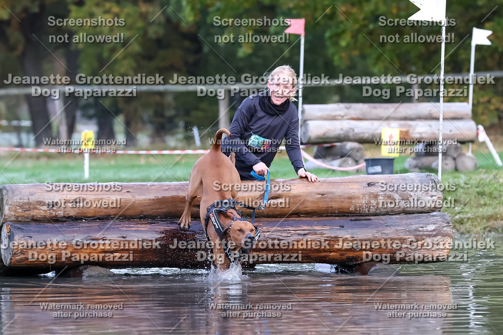 Dog Paparazzi - Strongdog 10-25-6348 | Dog Paparazzi Jeanette Grottendiek Fotografie & Videografie - Realisiert mit Pictrs.com