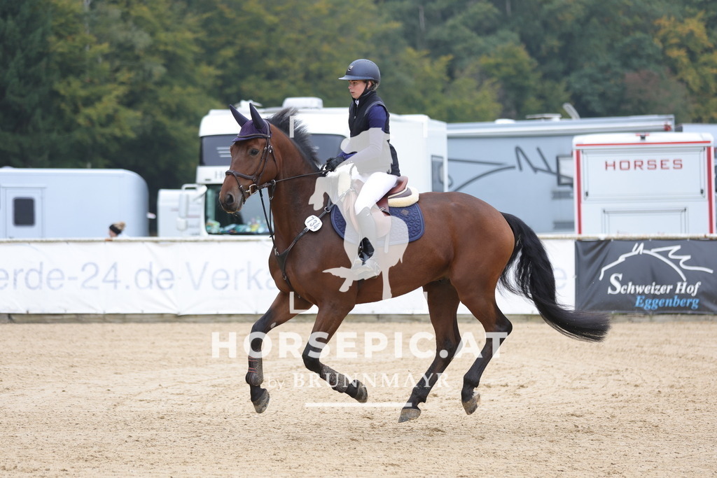 0P6A1989 | Willkommen bei Brunnmayr - Design & Fotografie – Ihrem Spezialisten für Reitturniere und Pferdeveranstaltungen in Oberösterreich, Salzburg und Bayern! Seit über 17 Jahren sind wir leidenschaftlich dabei.