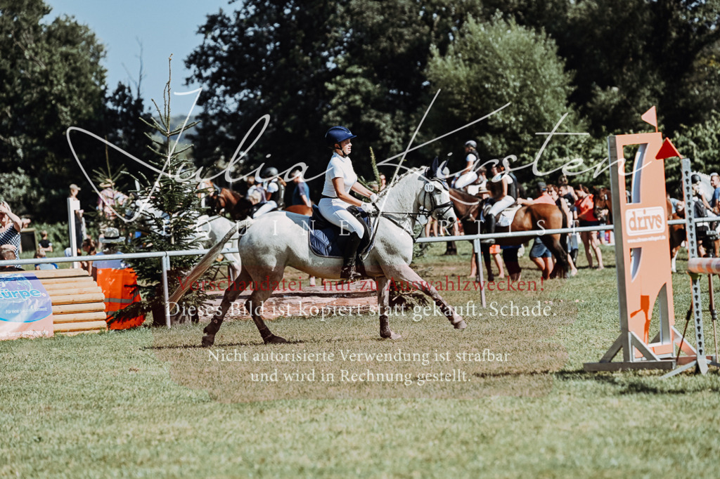 DSC_6516 | Pferde- und Turnierfotografie in Westsachsen. Pferdeportraits, Auftragszeichnungen und intuitive Kunst.
