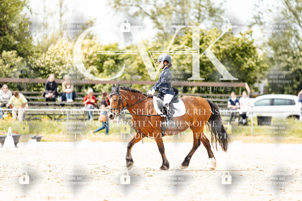 CK902296 | Turnierfotografie Pferdefotografie Trier Rheinland-Pfalz Pferdesport Reitsport Tierfotografie Sportfotografie Pferdevideo Pferdevideografie Equestrianvideography equestrianphotography  - Realisiert mit Pictrs.com