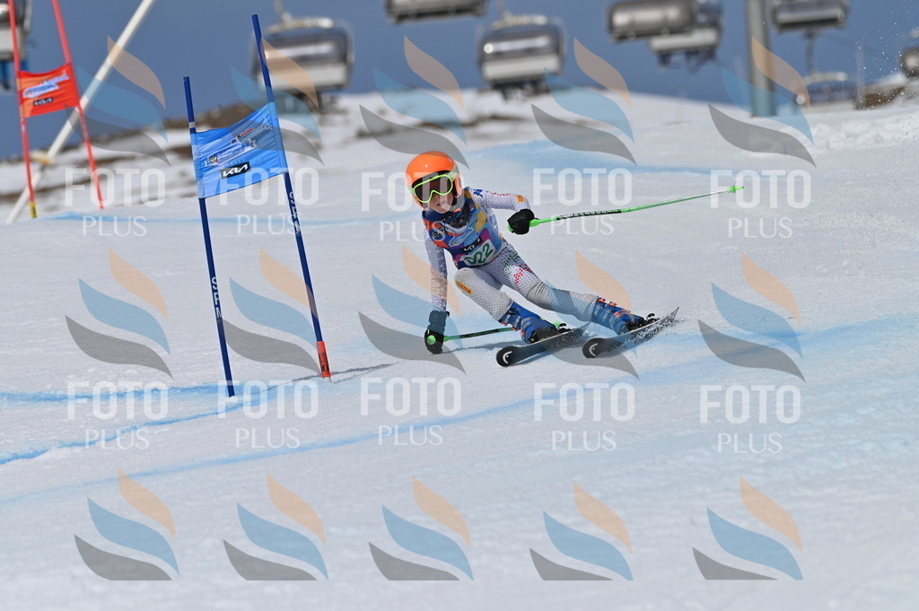 BGV_6371 | holidayphoto