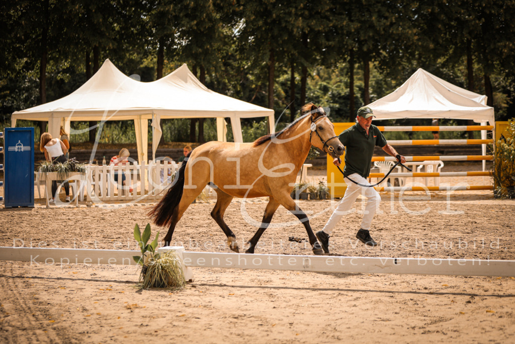 04.So00064 | Leoni Ertmer Photography - Realisiert mit Pictrs.com