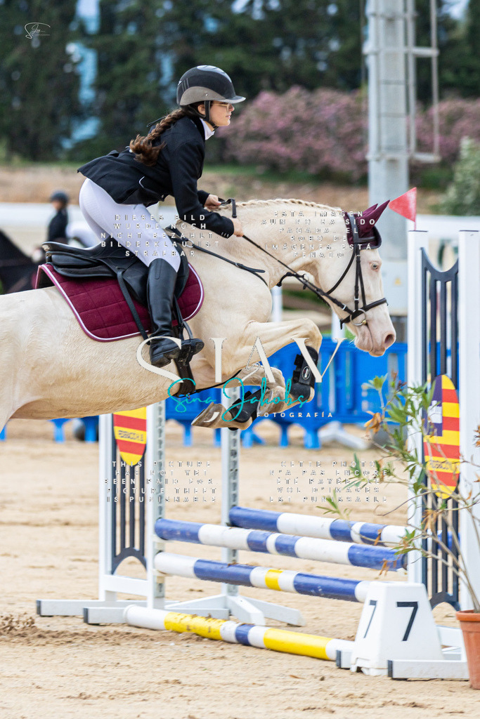 IMG_1391 | s-jay-photography - Realisiert mit Pictrs.com