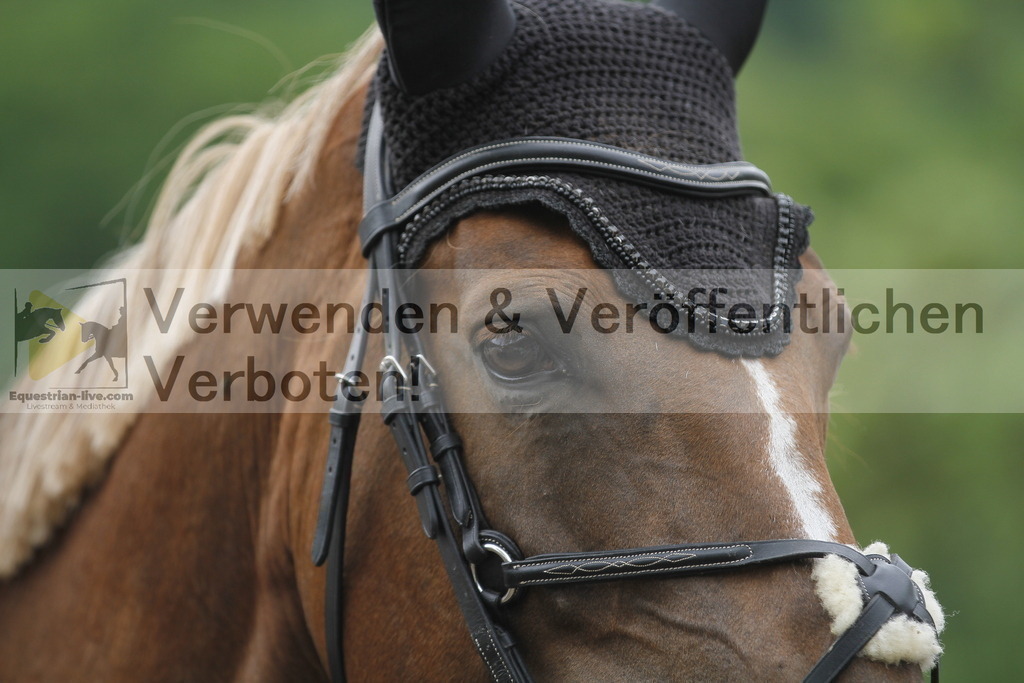 _MG_5014 | equestrian-live-com