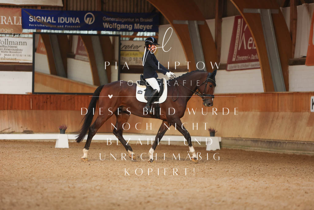 IMGM2933 | pl-fotografie