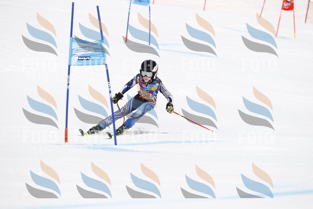 _U3G5876 | holidayphoto