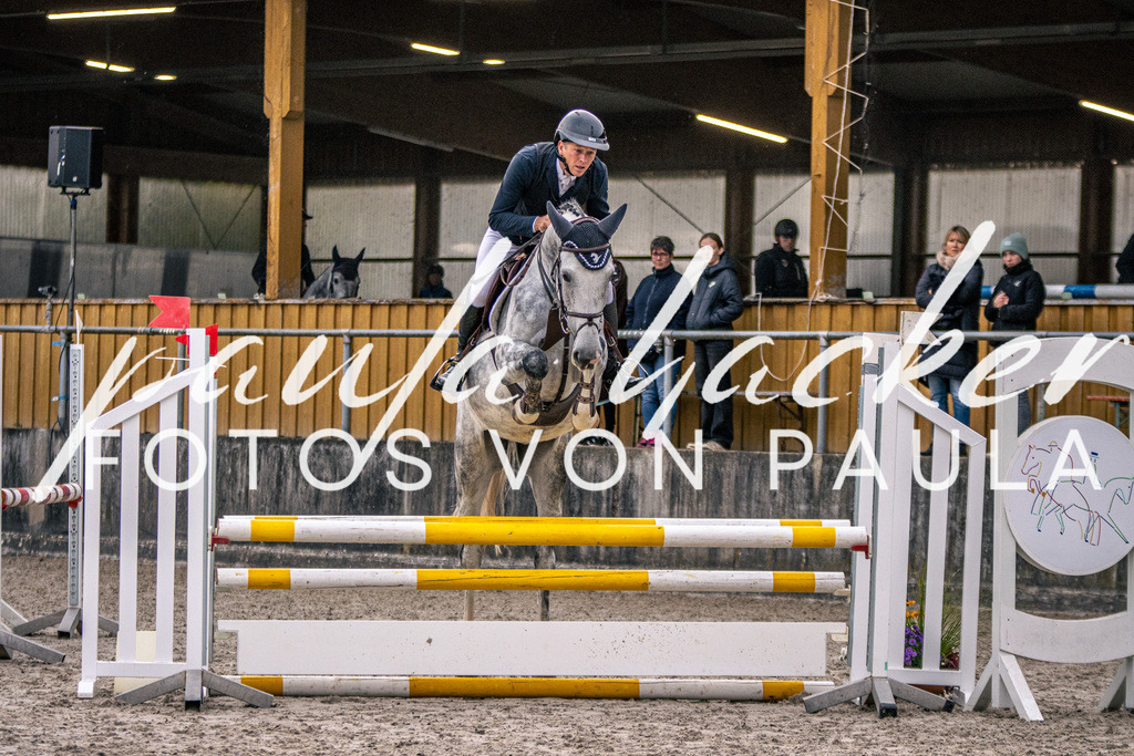 IMG_4747 | Erleben Sie dynamische Sport- und emotionale Tierfotografie in Süddeutschland mit Fotos von Paula. Spezialisiert auf Pferde- und Hundefotografie sowie Sportevents. Kontaktieren Sie mich für einzigartige und ausdrucksstarke Bilder Ihrer besonderen Momente.