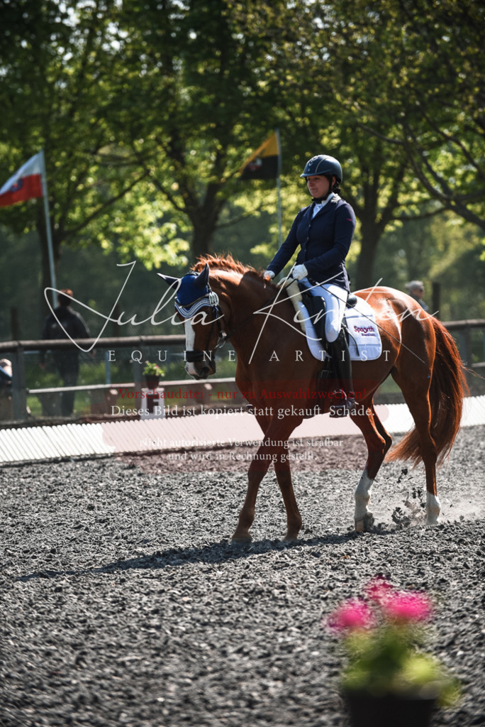 DSC_8837 | Pferde- und Turnierfotografie in Westsachsen. Pferdeportraits, Auftragszeichnungen und intuitive Kunst.