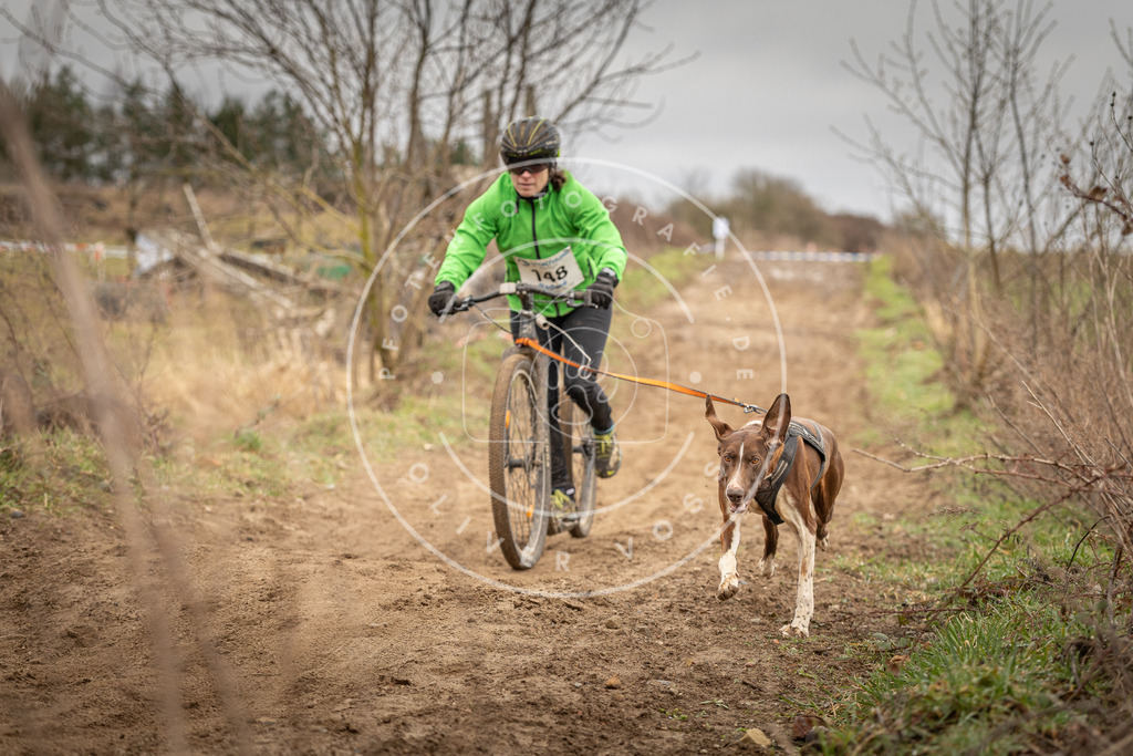DV3A1495 | Hundefotografie, Tierfotograf, Pfotenfotografie, Fotoshooting Hund, Hunde Portrait, Hundesport, Hundeportraits, Heideshooting, Hunde, Sportfotograf, Hundefotograf, Turnierhundsport, THS,  - Realisiert mit Pictrs.com