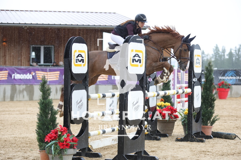 0P6A9112 | Willkommen bei Brunnmayr - Design & Fotografie – Ihrem Spezialisten für Reitturniere und Pferdeveranstaltungen in Oberösterreich, Salzburg und Bayern! Seit über 17 Jahren sind wir leidenschaftlich dabei.